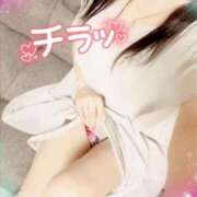 ヒメ日記 2026/04/15 12:18 投稿 咲紀(さき) 札幌人妻マドンナ