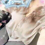 ヒメ日記 2026/07/29 12:27 投稿 咲紀(さき) 札幌人妻マドンナ