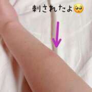 咲紀(さき) ぽっこり🐖 札幌人妻マドンナ