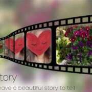 ヒメ日記 2025/02/11 20:00 投稿 ゆのん 熟女の風俗最終章 蒲田店