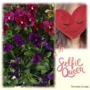 ヒメ日記 2025/02/13 23:46 投稿 ゆのん 熟女の風俗最終章 蒲田店