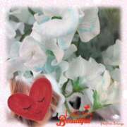 ヒメ日記 2025/03/11 20:46 投稿 ゆのん 熟女の風俗最終章 蒲田店