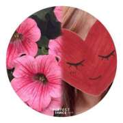 ヒメ日記 2025/05/17 10:20 投稿 ゆのん 熟女の風俗最終章 蒲田店