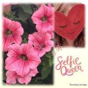 ヒメ日記 2025/05/17 23:20 投稿 ゆのん 熟女の風俗最終章 蒲田店