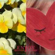 ヒメ日記 2025/05/30 22:37 投稿 ゆのん 熟女の風俗最終章 蒲田店