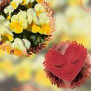 ヒメ日記 2025/05/30 23:10 投稿 ゆのん 熟女の風俗最終章 蒲田店