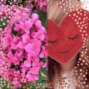 ヒメ日記 2025/06/12 23:00 投稿 ゆのん 熟女の風俗最終章 蒲田店