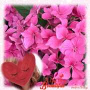 ヒメ日記 2025/06/16 23:30 投稿 ゆのん 熟女の風俗最終章 蒲田店