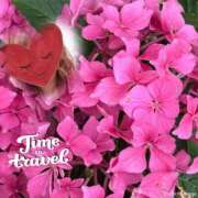 ヒメ日記 2025/06/20 23:30 投稿 ゆのん 熟女の風俗最終章 蒲田店