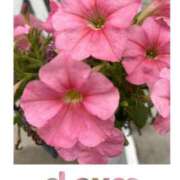 ヒメ日記 2025/07/03 21:10 投稿 ゆのん 熟女の風俗最終章 蒲田店