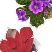 ヒメ日記 2025/07/24 10:20 投稿 ゆのん 熟女の風俗最終章 蒲田店