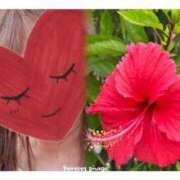 ヒメ日記 2025/08/02 21:30 投稿 ゆのん 熟女の風俗最終章 蒲田店