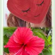 ヒメ日記 2025/08/05 10:20 投稿 ゆのん 熟女の風俗最終章 蒲田店