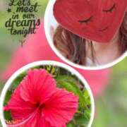 ヒメ日記 2025/08/19 11:30 投稿 ゆのん 熟女の風俗最終章 蒲田店