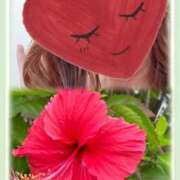 ヒメ日記 2025/08/28 10:20 投稿 ゆのん 熟女の風俗最終章 蒲田店