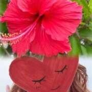 ヒメ日記 2025/08/31 20:50 投稿 ゆのん 熟女の風俗最終章 蒲田店