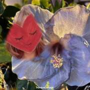 ヒメ日記 2025/09/04 22:54 投稿 ゆのん 熟女の風俗最終章 蒲田店