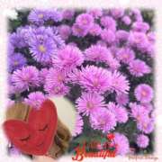 ヒメ日記 2025/10/07 10:00 投稿 ゆのん 熟女の風俗最終章 蒲田店