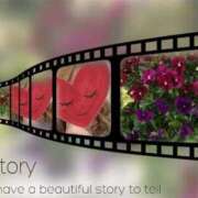 ヒメ日記 2025/11/04 23:34 投稿 ゆのん 熟女の風俗最終章 蒲田店