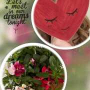 ヒメ日記 2025/11/06 10:10 投稿 ゆのん 熟女の風俗最終章 蒲田店