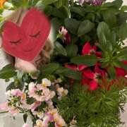 ヒメ日記 2025/11/11 22:50 投稿 ゆのん 熟女の風俗最終章 蒲田店