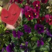 ヒメ日記 2025/11/14 23:31 投稿 ゆのん 熟女の風俗最終章 蒲田店