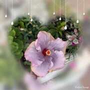 ヒメ日記 2025/11/30 20:20 投稿 ゆのん 熟女の風俗最終章 蒲田店