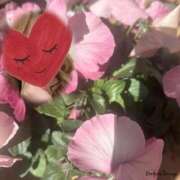 ゆのん ゆのんだよ(o^^o) 熟女の風俗最終章 蒲田店