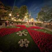 ヒメ日記 2026/04/15 08:35 投稿 えりか ティアラ