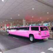 ヒメ日記 2025/03/01 20:29 投稿 菅野 ティアラ