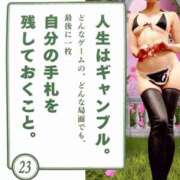 ヒメ日記 2025/09/23 00:07 投稿 菅野 ティアラ