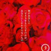 菅野 🌈毎日を一粒万倍日に変える🌈 ティアラ