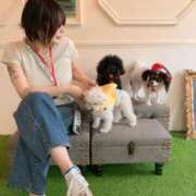 ヒメ日記 2025/07/08 10:00 投稿 未来 ティアラ