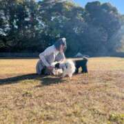 ヒメ日記 2025/11/22 23:34 投稿 未来 ティアラ