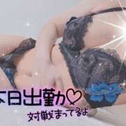 ヒメ日記 2026/09/11 07:41 投稿 秋元 女々艶 厚木店