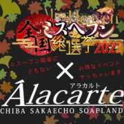 ヒメ日記 2023/09/29 11:46 投稿 まいり アラカルト