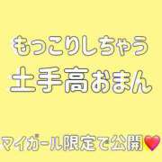 ヒメ日記 2024/08/12 21:01 投稿 まいり アラカルト