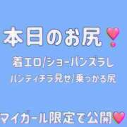 ヒメ日記 2024/08/15 21:02 投稿 まいり アラカルト