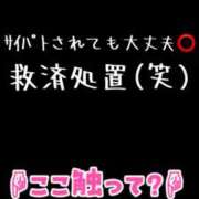 ヒメ日記 2025/02/01 18:45 投稿 まいり アラカルト