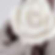 ヒメ日記 2025/11/29 03:15 投稿 なお 神田ハンドメイド