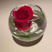 ヒメ日記 2025/12/30 09:41 投稿 ちか 花夫人