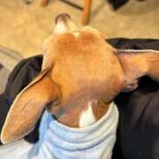 ヒメ日記 2026/02/09 08:06 投稿 ちか 花夫人