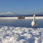 ヒメ日記 2025/01/21 13:41 投稿 ななお 花夫人