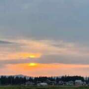 ヒメ日記 2025/05/21 09:04 投稿 ななお 花夫人