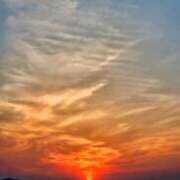 ヒメ日記 2025/06/03 11:22 投稿 ななお 花夫人