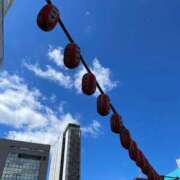 ヒメ日記 2025/07/21 17:05 投稿 ななお 花夫人