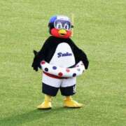 ヒメ日記 2025/07/29 09:48 投稿 ななお 花夫人