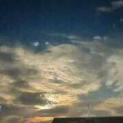 ヒメ日記 2025/08/18 09:12 投稿 ななお 花夫人