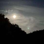 ヒメ日記 2025/10/11 09:14 投稿 ななお 花夫人