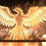 ヒメ日記 2025/11/12 10:01 投稿 ななお 花夫人